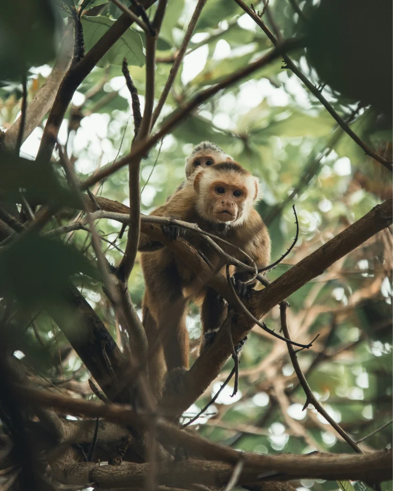 joel_bohorquez_1ve8flikfgu_unsplash_4x