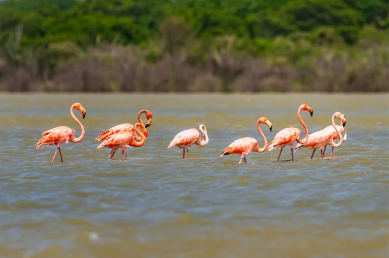 ricky_beron_7yosczplub8_unsplash_4x