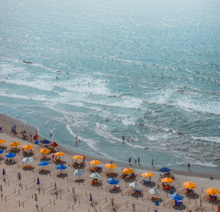 victor_rosario_f8hduqbi4mw_unsplash_4x